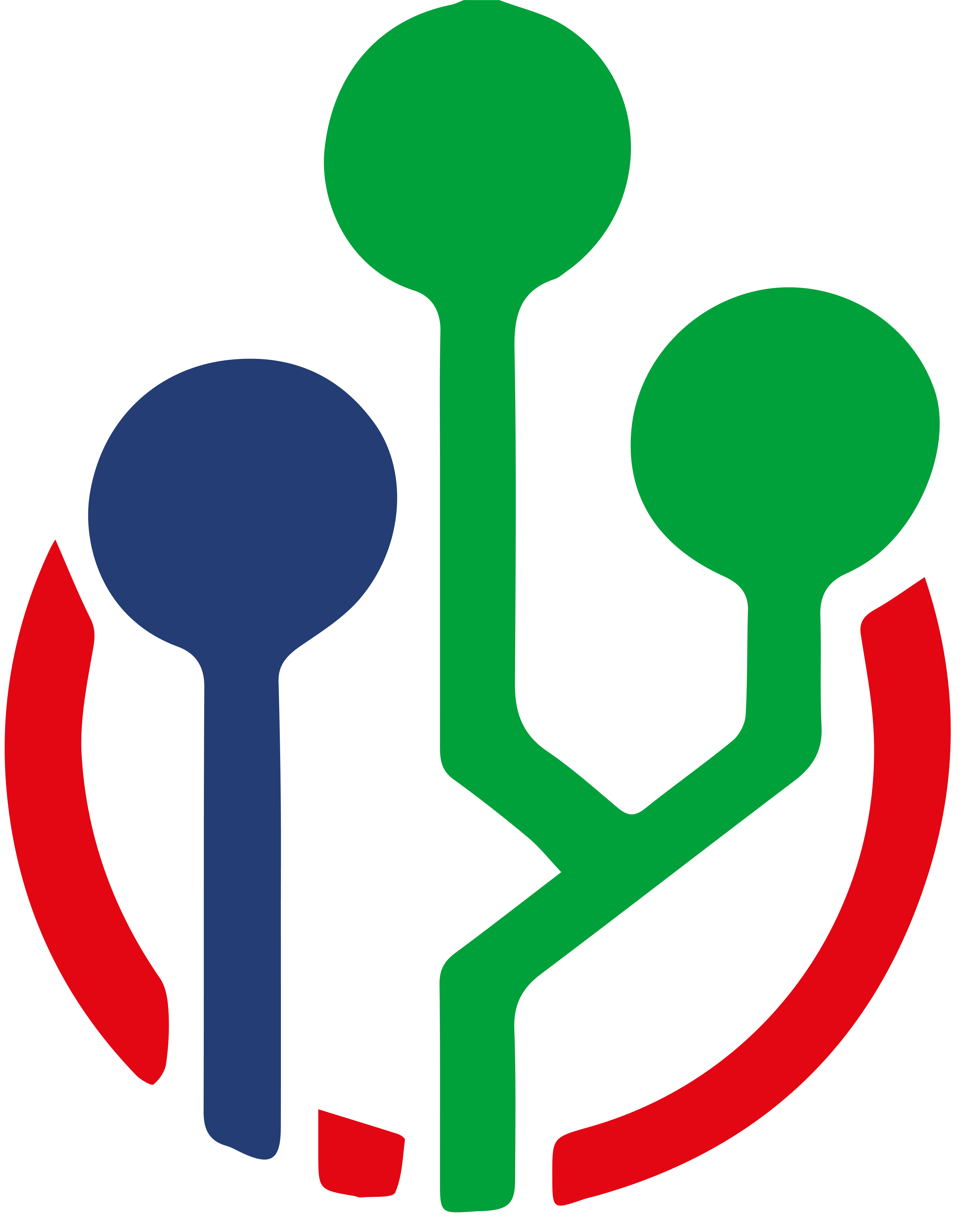 Pro Sinti & Roma e.V.